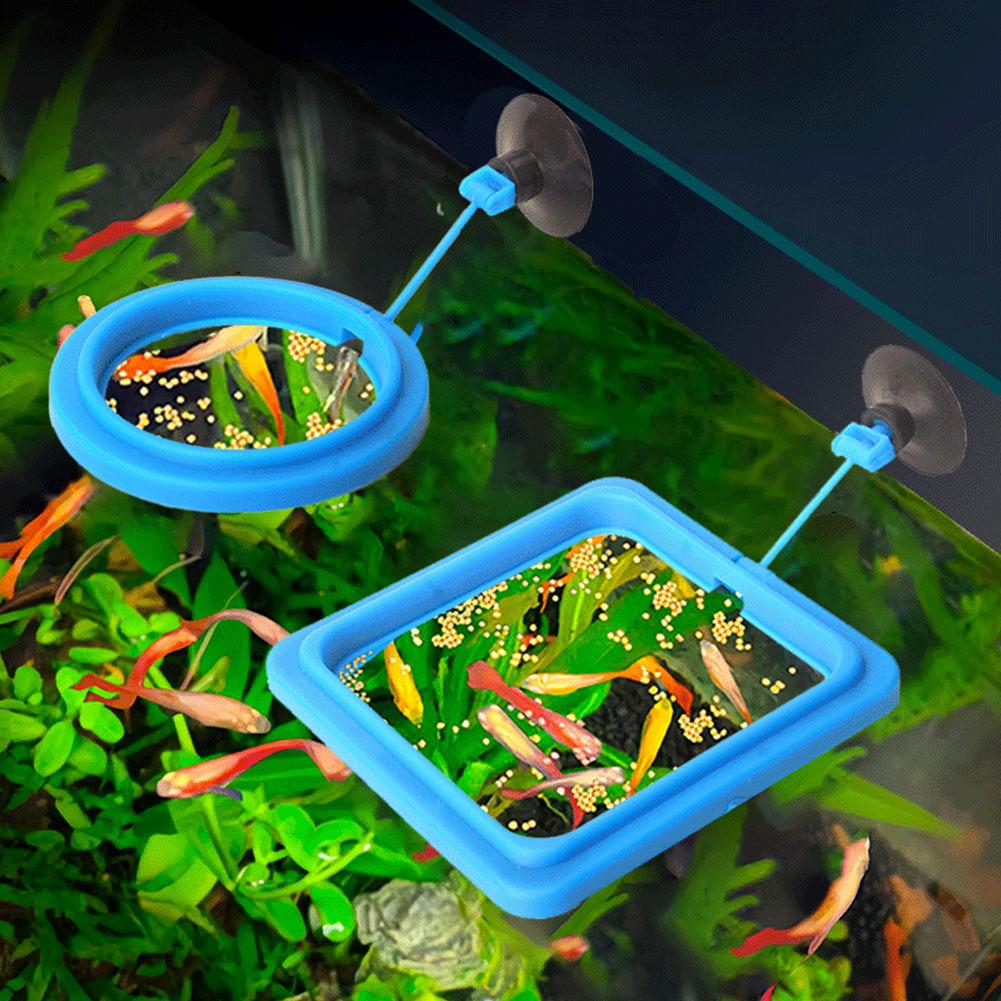 Fish Feeding Ring Feeder Fishi - огляд і ціна Tetra Food Tropical Flakes