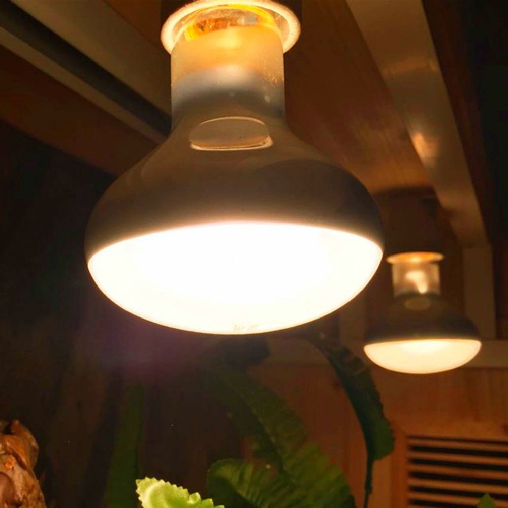 Amphibians Heater Heat Lamp UV - огляд і ціна Basking Bulb Halogen