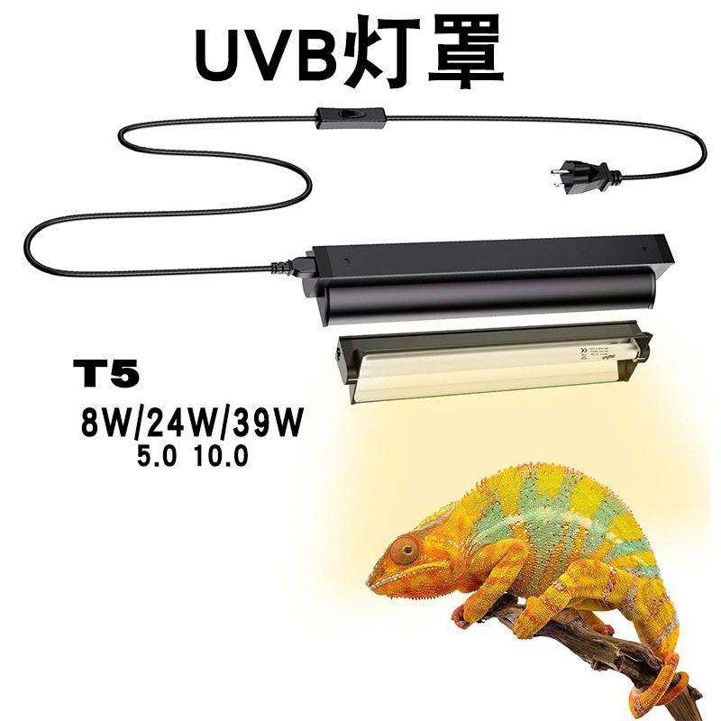 T5 UVB Tube With Integrated Fi - огляд і ціна Calcium Powder Reptile
